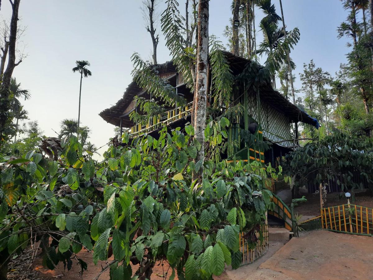 The Mountain Tree Home Wayanad Exterior photo