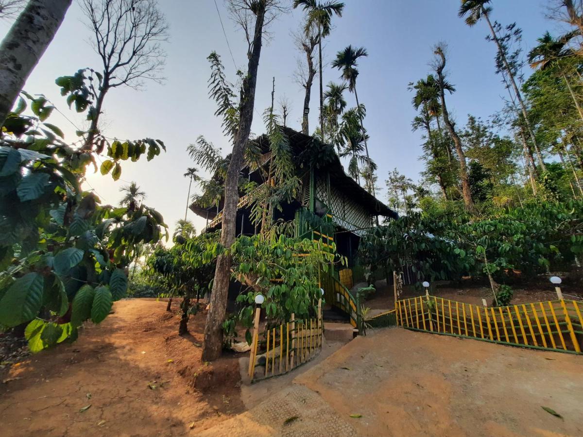 The Mountain Tree Home Wayanad Exterior photo
