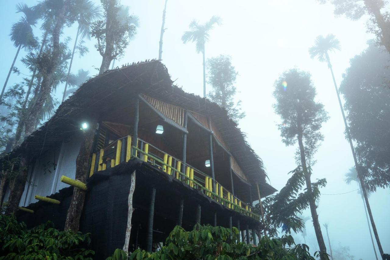 The Mountain Tree Home Wayanad Exterior photo